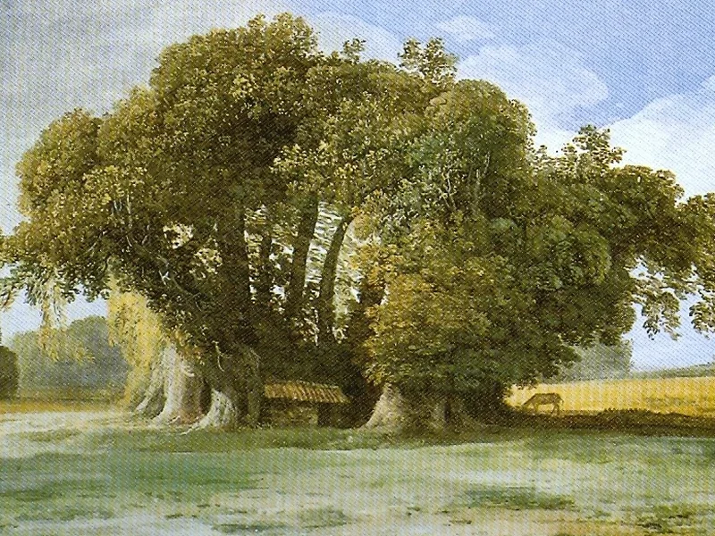 1735-Jean-Pierre Houel - Il castagno dei cento cavalli sulle pendici dell'Etna